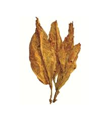 Flue-Cured Virginia (FCV) is a primary type of tobacco leaf primarily used in cigarettes and roll-your-own products. It is distinguished by its golden-yellow to deep-orange color, mild and slightly sweet flavor, and high sugar content.