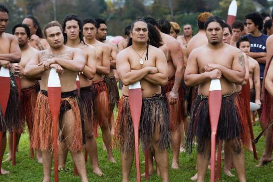 • Māori communities represent the indigenous tāngata whenua (people of the land) of Aotearoa, New Zealand, • From kiwi and kākāpō to glow worms and little blue penguins, Māori communities, scientists, and conservationists are uniting to save New Zealand’s endemic species. Through integrated predator-control initiatives—like fencing off sanctuaries on extinct volcanoes and tracking critically endangered birds with GPS—these groups blend indigenous Mātauranga (Māori knowledge) with modern ecology to ensure these unique animals flourish.