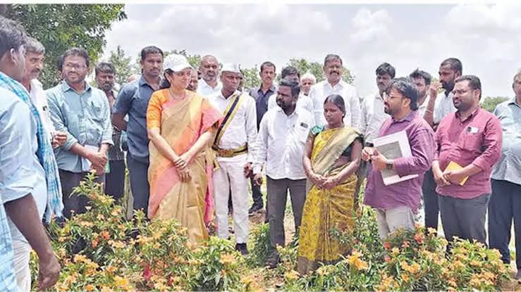 PROJECT K-100 (100 FARMERS – 100 INNOVATIVE ACTIVITIES PROGRAMME) Project K-100 (100 Farmers – 100 Innovative Activities Programme) is a district-led agricultural initiative in Narayanpet, Telangana, aimed at combating El Niño risks. It engages 120 farmers across Kosgi, Maddur, Kothapally, and Gundumal to promote crop diversification, climate resilience, and modern farming techniques