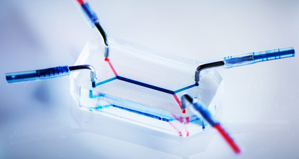 PLACENTA-ON-CHIP